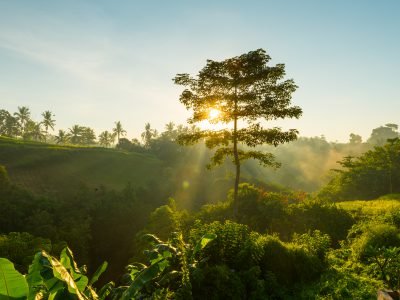 naturaleza y conservación